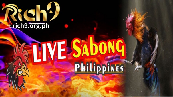 Rich9 Casino - The official website Sabong Live PH in the Philippines. Watch online sabong live & play online sabong games.