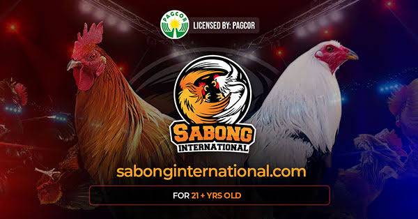 Why should you play cockfighting at ph sabong application Rich9?